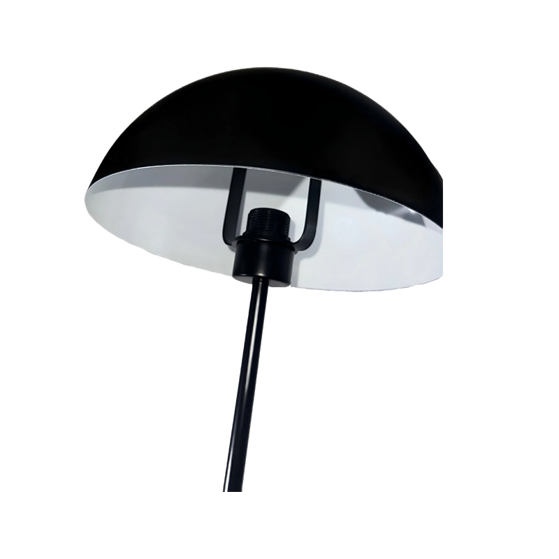 Does the floor lamp have an emergency lighting function? Can it light up for a short time to provide basic lighting in the event of a sudden power outage?